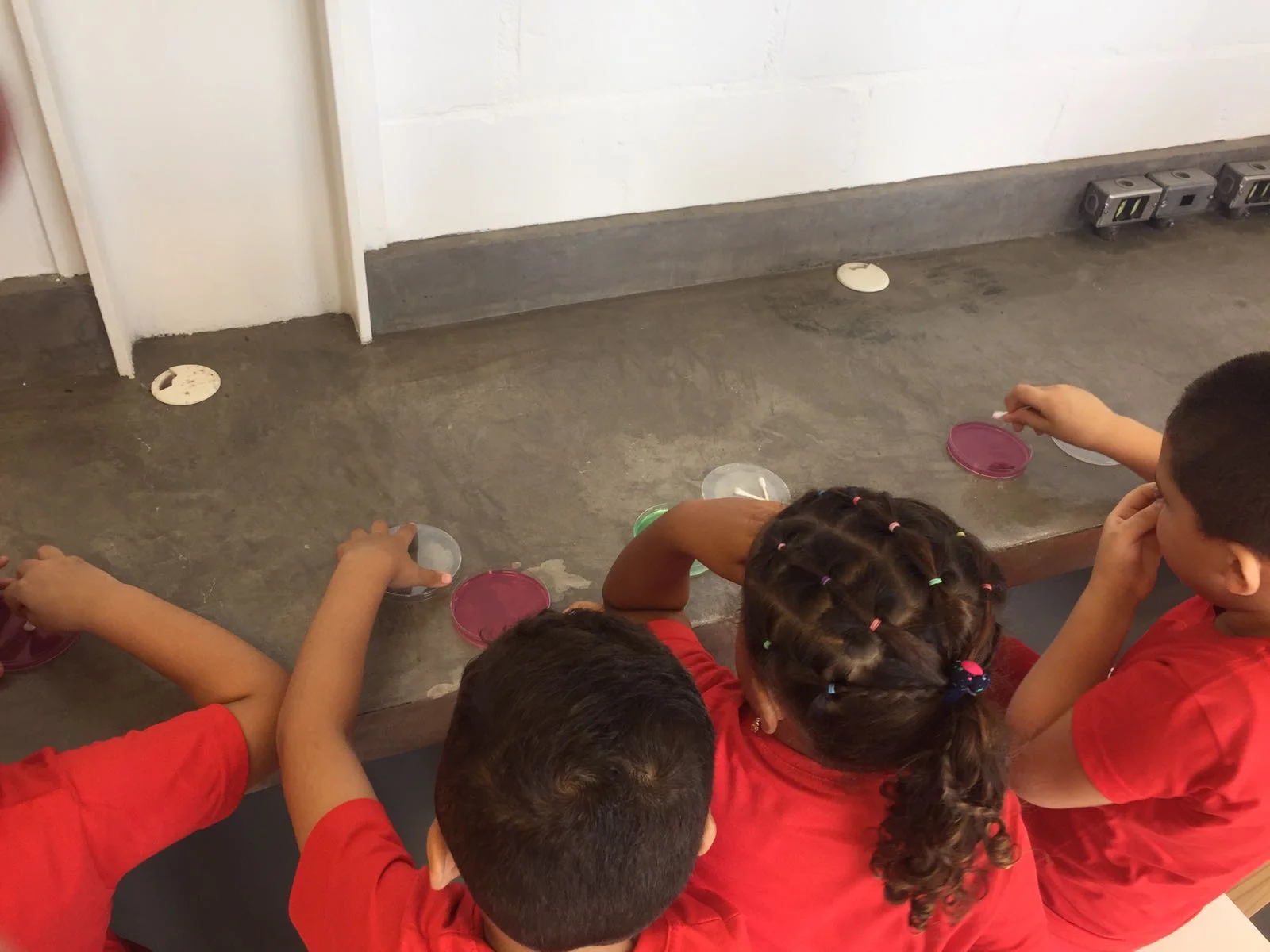 Children exploring petri dishes during a workshop