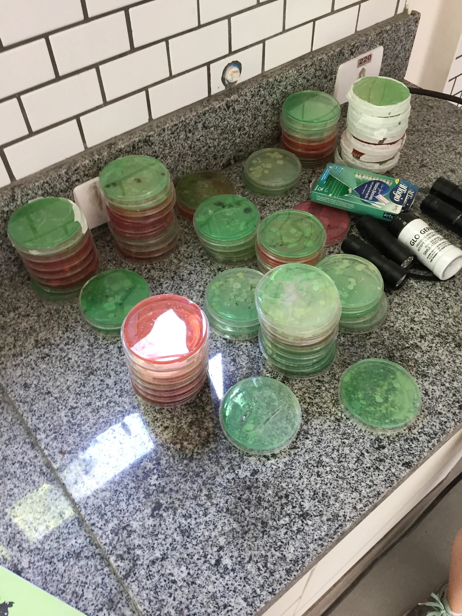 Stacks of petri dishes prepared for the outreach activity