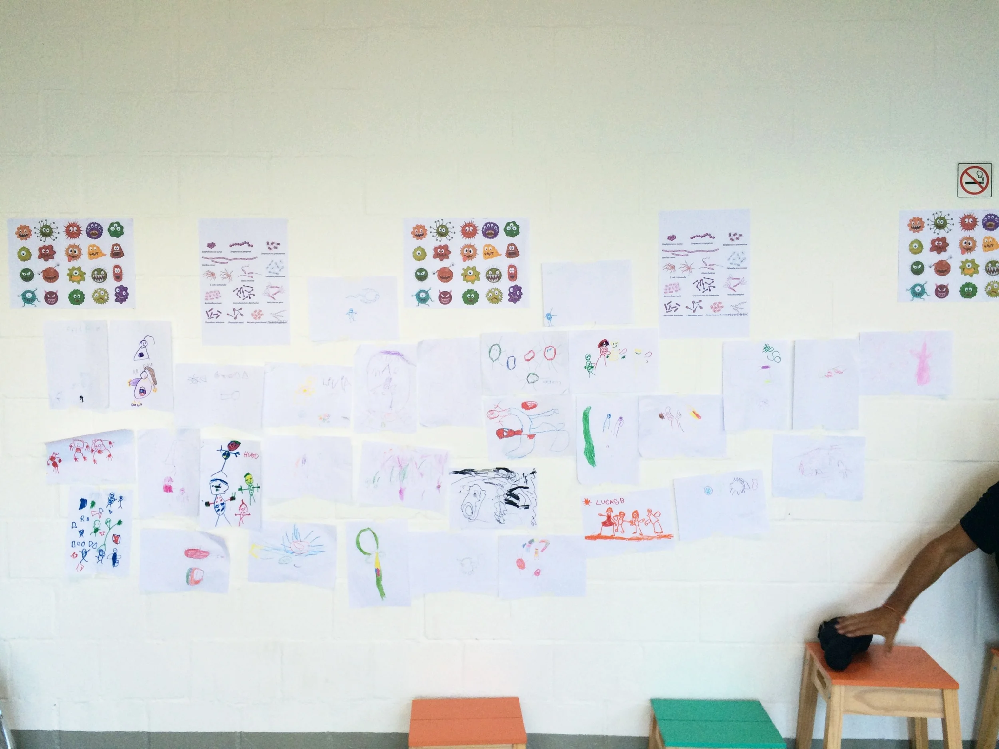 Wall display of students' bacteria-themed drawings