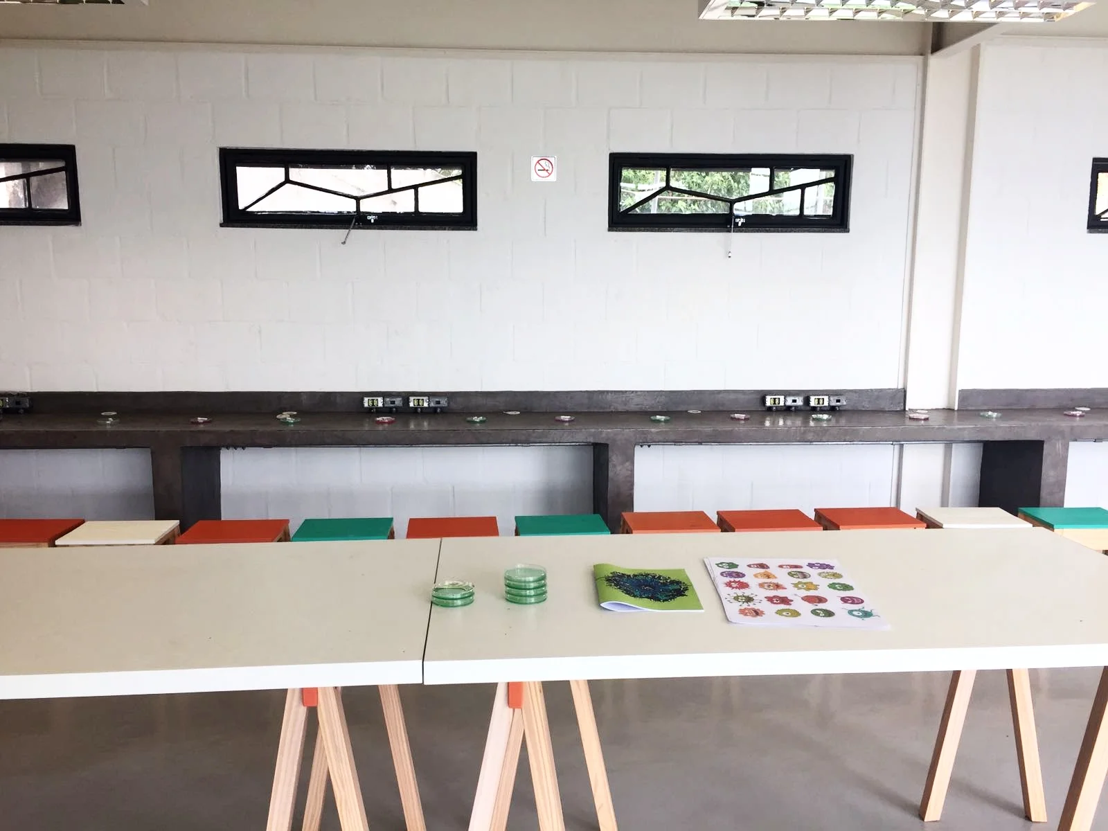 Classroom setup for bacteria outreach activities