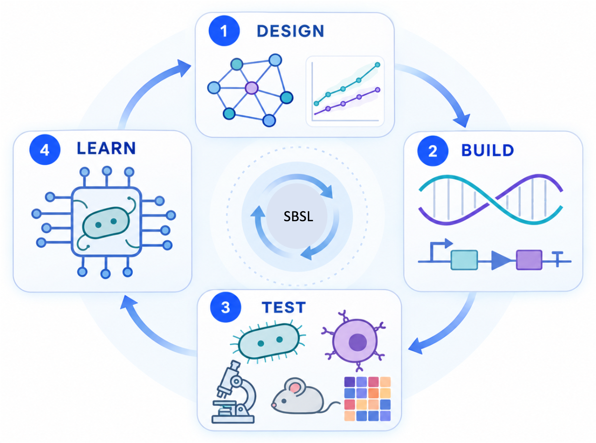 Design-build-test-learn framework graphic for synthetic biology