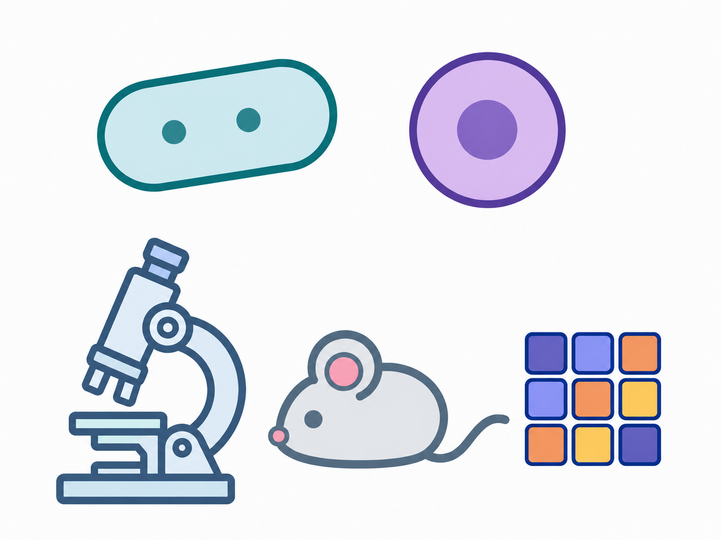 Bacteria, T cell, microscope, mouse model, and heat map testing