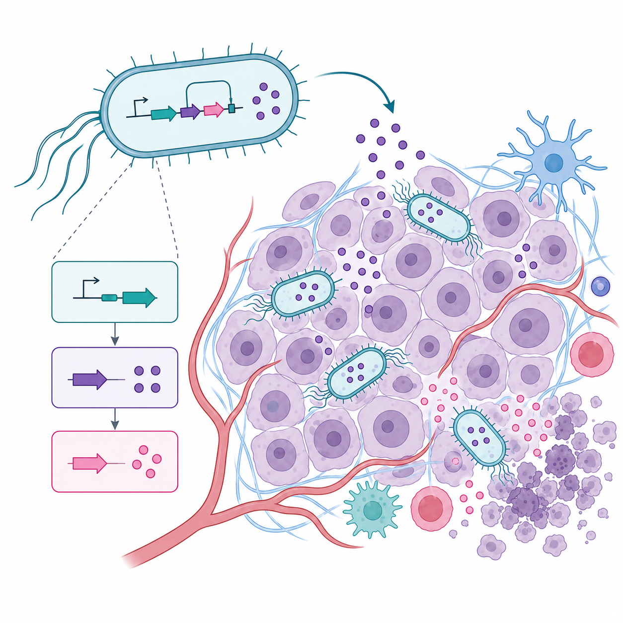 Living medicines visualization
