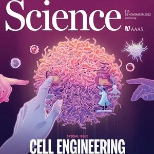 Engineering bacteria as interactive cancer therapies