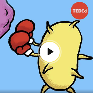 Hacking bacteria to fight cancer
