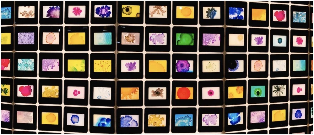 Microuniverse bacterial artwork