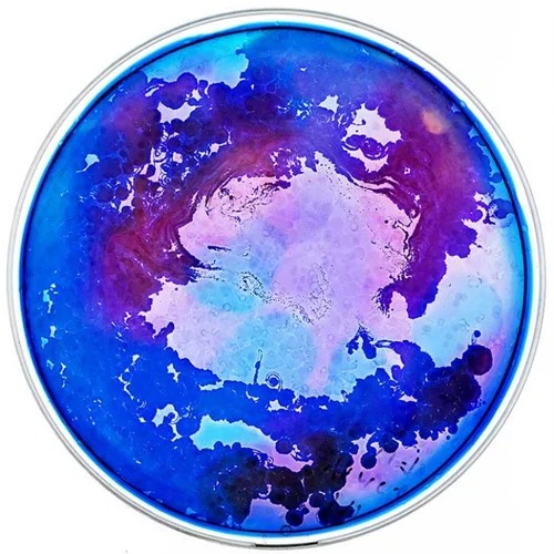 Microuniverse bacterial artwork