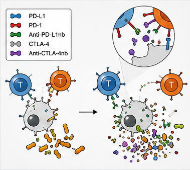 Science Translational Medicine, Volume 12, Issue 530, 12 February 2020