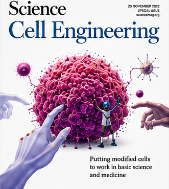 Engineering bacteria as interactive cancer therapies